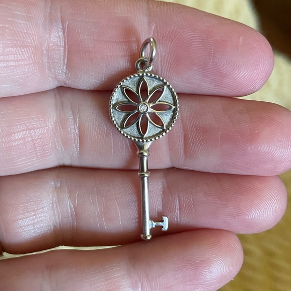 Tiffany Co Diamond Flower Necklace Nature Daisy Key Pendant Chain with 0.01 CTW - Picture 8 of 8